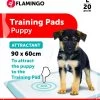 Flamingo Trainingsmat Pady L 20st Lokstof 90x60cm -Dierenparadijspaleis 02ffe362b04a03551d74b41e849ae688cb6cfcaab8dc2c6b516cb8870e3a0587