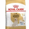 Royal Canin Labrador Retriever Adult 5+ 3kg -Dierenparadijspaleis 267881515b21faa0e1c205ebf7d87b5e60a094a6f083ea85dbcba2f4e520475a