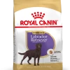 Royal Canin Labrador Retriever Sterilised Adult Hond 3kg -Dierenparadijspaleis 2f4906f6d774e6a8d511d3f0acc883fd0ee49f326d350f0f9a0f516a632bc5eb 1