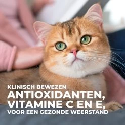 Hill's Science Plan Young Adult Sterilised - Tonijn - 3kg -Dierenparadijspaleis 37098a9fe2951c46acb1b103d375bf1262f294e93049365584c32e594a38a0ea