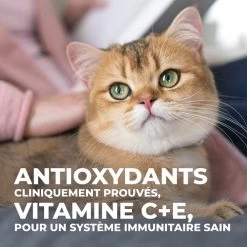 Hill's Science Plan Young Adult Sterilised - Tonijn - 3kg -Dierenparadijspaleis 3b73322466d898b24006c18ff33ab804bfefa72083639901175012c872fc160b