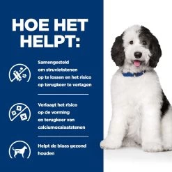 Hill's Multicare Kip & Groenten Stoofpotje Hond 12x354g -Dierenparadijspaleis 52742021324 3 NL