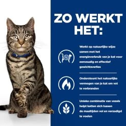 Hill's Prescription Diet Metabolic Weight Management Kattenvoer Met Kip 12kg -Dierenparadijspaleis 52742047249 2 NL