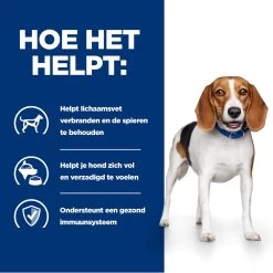 Hill's Hill’s Prescription Diet R/D – Hondenvoer Met Kip – 4kg 12 Hill's Hill’s Prescription Diet R/D – Hondenvoer Met Kip – 4kg -Dierenparadijspaleis 52742047256 3 NL
