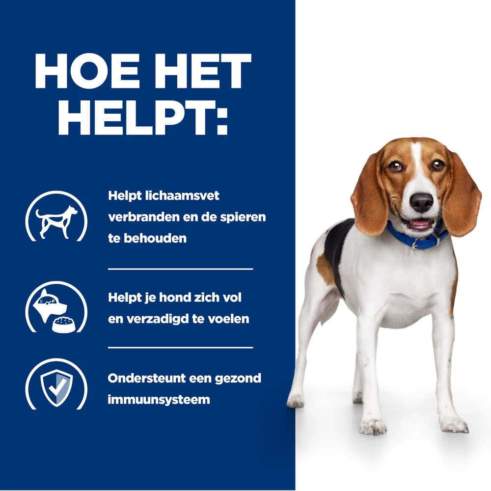 Hill's Hill’s Prescription Diet R/D – Hondenvoer Met Kip – 4kg 6 Hill's Hill’s Prescription Diet R/D – Hondenvoer Met Kip – 4kg - Afbeelding 4