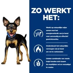 Hill's Prescription Diet Metabolic Kip- En Groentenstoofpotje Voor Hond 24x156g 11 Hill's Prescription Diet Metabolic Kip- En Groentenstoofpotje Voor Hond 24x156g -Dierenparadijspaleis 52742047331 2 NL