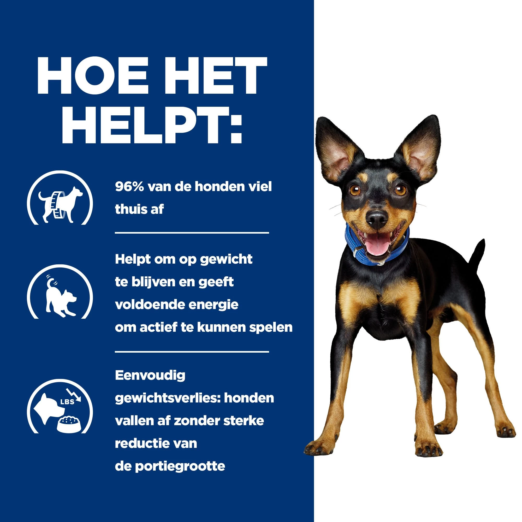 Hill's Prescription Diet Metabolic Kip- En Groentenstoofpotje Voor Hond 24x156g 6 Hill's Prescription Diet Metabolic Kip- En Groentenstoofpotje Voor Hond 24x156g - Afbeelding 4