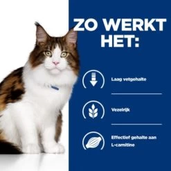 Hill's Prescription Diet W/D Multibenefit Voor Kat 12x85g -Dierenparadijspaleis 52742053783 2 NL