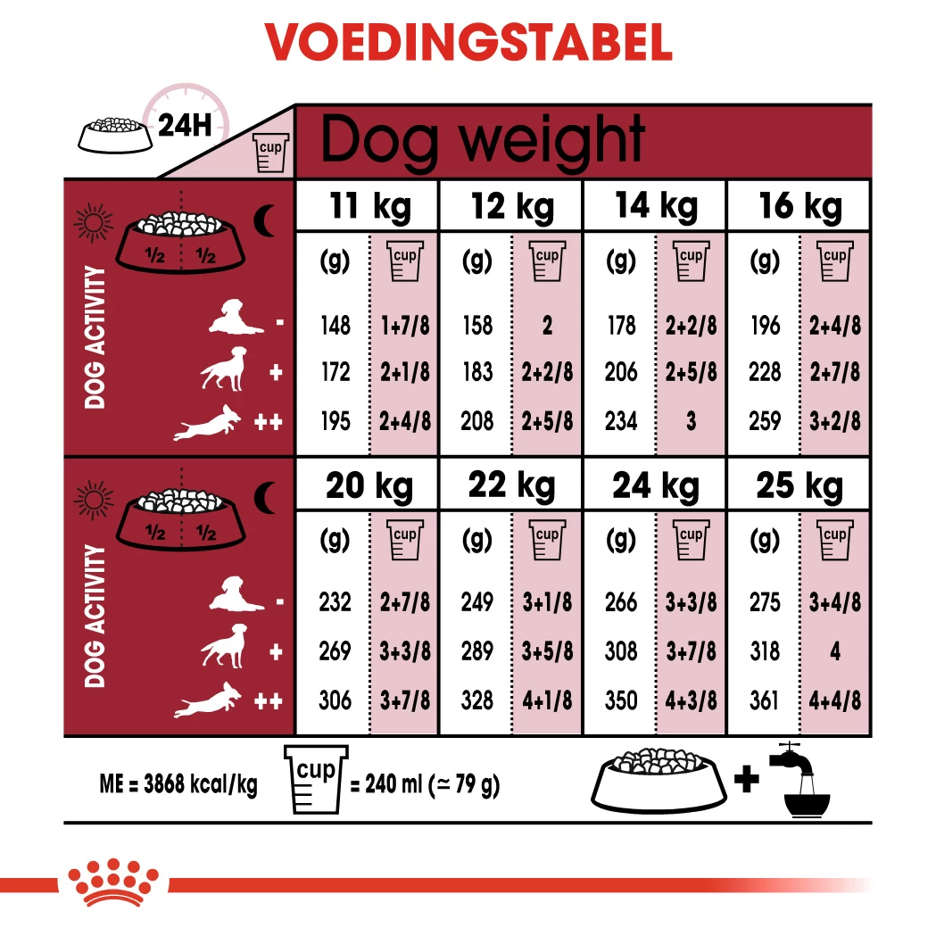 Royal Canin Medium Ageing 10+ Hondenvoer 10x 140g 5 Royal Canin Medium Ageing 10+ Hondenvoer 10x 140g - Afbeelding 3