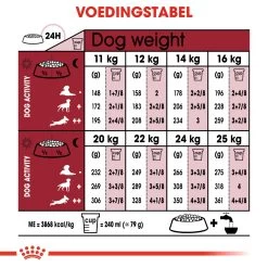 Royal Canin Medium Ageing 10+ Hondenvoer 10x 140g 6 Royal Canin Medium Ageing 10+ Hondenvoer 10x 140g -Dierenparadijspaleis 658cd0070fe8656d49127926637c4755119021204d9a36ef53ccdb1c5650d350
