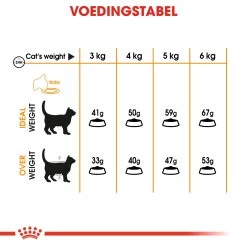 Royal Canin Hair & Skin Care Kattenvoer 4kg -Dierenparadijspaleis 6cd71a60ba99f8570764bedbf54b2943681113398a4dc2074f443d0e11a6fff9 1