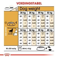 Royal Canin Labrador Retriever Sterilised Adult Hond 3kg -Dierenparadijspaleis 736376d881279d14a3fad07f07c8871ff139b90d50c4fbda9f821a6f2cf7655c 1