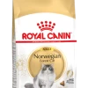 Royal Canin Norwegian Forest Cat Adult Kat 10kg -Dierenparadijspaleis 7c183fb94b2f86e88aefbe5b81fed6bccc751578b0f11218b5017a39767af018