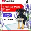 Flamingo Trainingsmat Pady L 20st Lavendel 90x60cm 2 Flamingo Trainingsmat Pady L 20st Lavendel 90x60cm -Dierenparadijspaleis 86853736e11753c6e809486d45f9c0b49295b8a7d1bdf0ad3f963102bda6cec6
