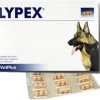 Lypex Hond-kat Caps 60 1 Lypex Hond-kat Caps 60 -Dierenparadijspaleis 9b7b4b6cf9482e9dbcd6dacb26f9d80b57bc465348b12449030d6694b873813f