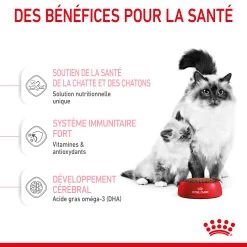 Royal Canin Mother & Babycat 2kg -Dierenparadijspaleis RC SPT DRY Babycat 4 FR 1