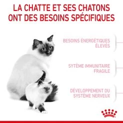 Royal Canin Mother & Babycat 2kg -Dierenparadijspaleis RC SPT DRY Babycat CV 3 FR 1