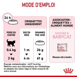 Royal Canin Mother & Babycat 2kg -Dierenparadijspaleis RC SPT DRY Babycat CV FR 1