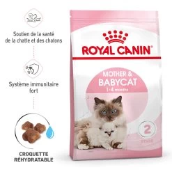 Royal Canin Mother & Babycat 2kg -Dierenparadijspaleis RC SPT DRY Babycat MV 1 FR 1