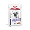 Royal Canin Mature Consult Balance Kattenvoer 12x85g 2 Royal Canin Mature Consult Balance Kattenvoer 12x85g -Dierenparadijspaleis RC VET WET CatMatConsBal