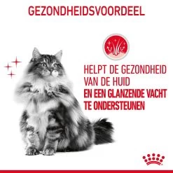 Royal Canin Hair & Skin Care Natvoer In Gravy Kattenvoer 12x85g -Dierenparadijspaleis Royal Canin Hair Skin Care Gravy Kat NL 08