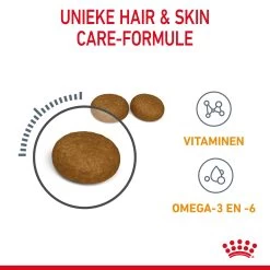 Royal Canin Hair & Skin Care Kattenvoer 4kg -Dierenparadijspaleis Royal Canin Hair Skin Care Kat NL 05 1