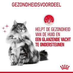 Royal Canin Hair & Skin Care Kattenvoer 4kg -Dierenparadijspaleis Royal Canin Hair Skin Care Kat NL 07 1