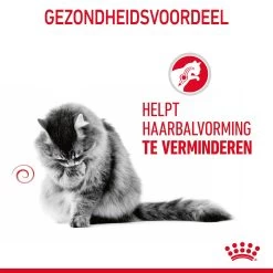 Royal Canin Hairball Care Natvoer In Gravy Kattenvoer 48x85g 21 Royal Canin Hairball Care Natvoer In Gravy Kattenvoer 48x85g -Dierenparadijspaleis Royal Canin Hairball Care Gravy Kat NL 08