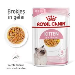 Royal Canin Kitten In Jelly Kattenvoer 12x85g 13 Royal Canin Kitten In Jelly Kattenvoer 12x85g -Dierenparadijspaleis Royal Canin Kitten Jelly NL 1