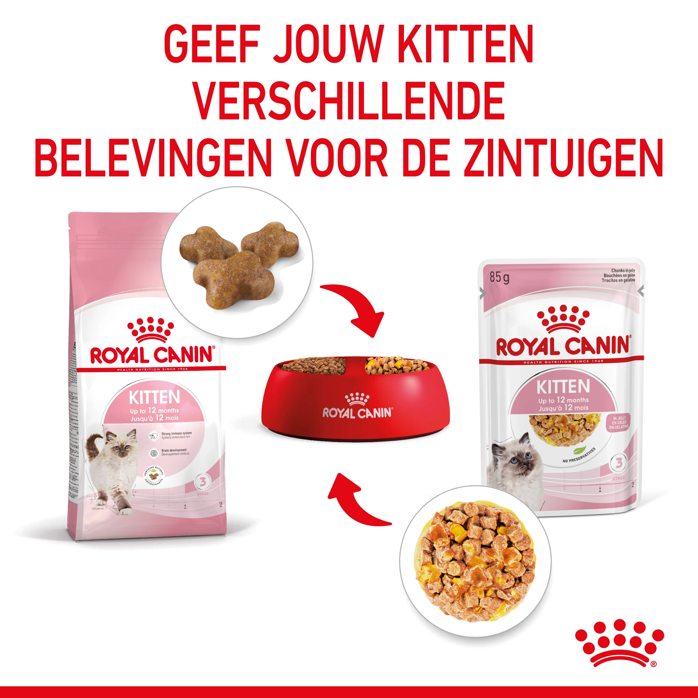Royal Canin Kitten In Jelly Kattenvoer 12x85g 8 Royal Canin Kitten In Jelly Kattenvoer 12x85g - Afbeelding 6