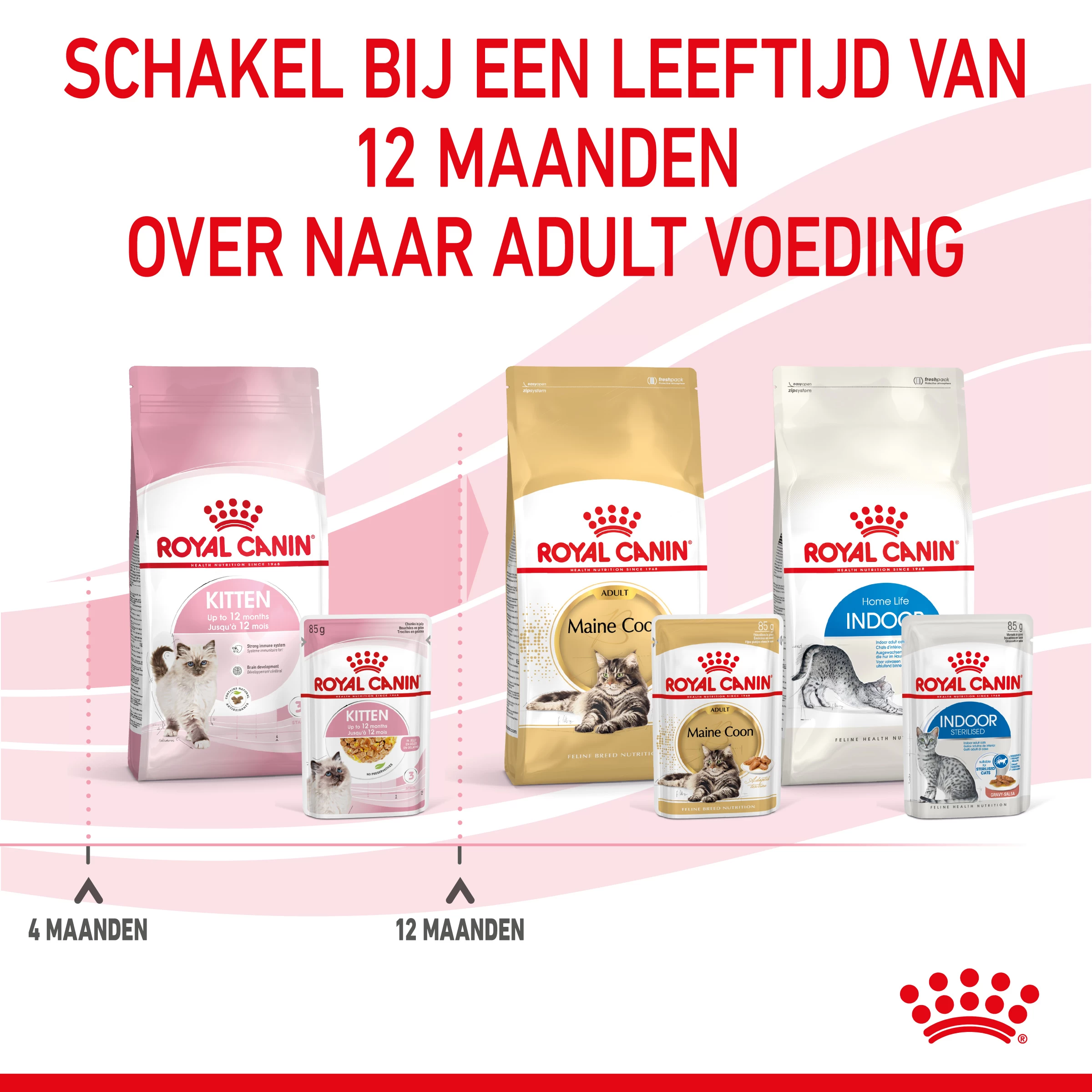 Royal Canin Kitten In Jelly Kattenvoer 12x85g 9 Royal Canin Kitten In Jelly Kattenvoer 12x85g - Afbeelding 7