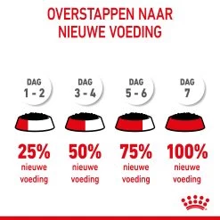 Royal Canin Kitten In Jelly Kattenvoer 12x85g 19 Royal Canin Kitten In Jelly Kattenvoer 12x85g -Dierenparadijspaleis Royal Canin Kitten Jelly NL 9