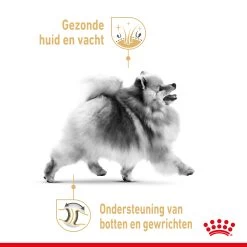 Royal Canin Pomeranian Adult Hondenvoer 12x85g -Dierenparadijspaleis Royal Canin Pomeranian Natvoer NL 3