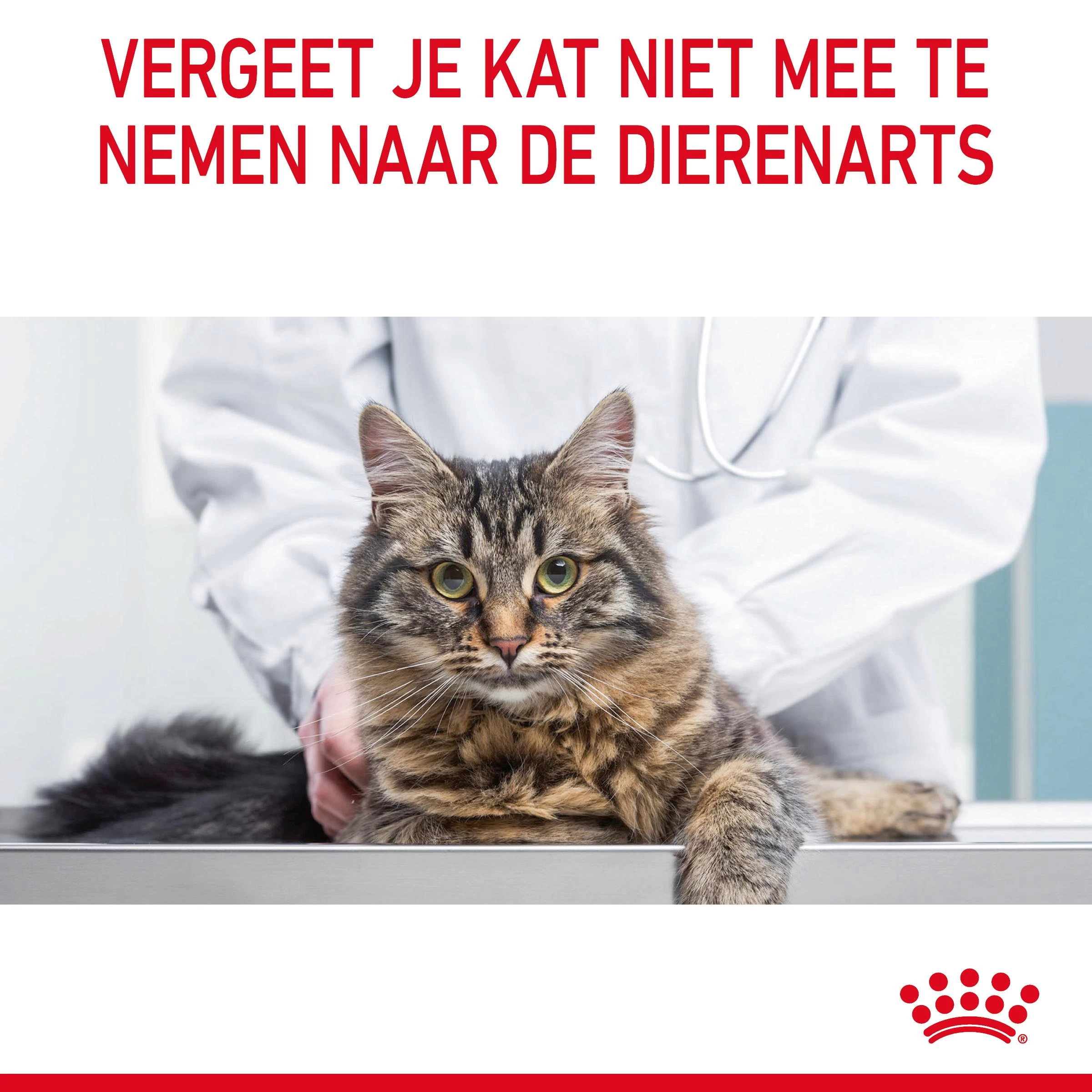 Royal Canin Urinary Care Natvoer In Gravy Kattenvoer 48x85g 14 Royal Canin Urinary Care Natvoer In Gravy Kattenvoer 48x85g - Afbeelding 12