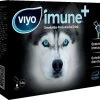 VIYO IMUNE+ Pack Hond 14 Zakjes -Dierenparadijspaleis VIYOPACKD VIYO IMUNE Pack Dog NL1