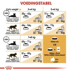 Royal Canin Norwegian Forest Cat Adult Kat 10kg -Dierenparadijspaleis b4a617b519139529e511476e3972d26e16dfa24c3ecfcb2ee5a0f6be2ce9e982 1
