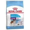 Royal Canin Giant Junior Active - Hondenvoer - 15kg -Dierenparadijspaleis f95859ecce786545173f5b99af04c5f29bf6f25ab4de5b2650282f58def433a7