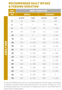 Royal Canin Urinary S/O Moderate Calorie - Hondenvoer - 12kg -Dierenparadijspaleis rc urinary moderate dry