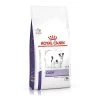 Royal Canin Calm - Hondenvoer - 2kg -Dierenparadijspaleis royal canin calm petit chien 20 281 29 1