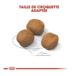 Royal Canin Giant Puppy - Hondenvoer - 15kg -Dierenparadijspaleis royal canin giant puppy giant puppy 3