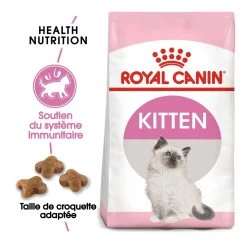 Royal Canin Kitten Kat 10kg -Dierenparadijspaleis royal canin kitten second age kitten second age 1