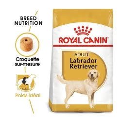 Royal Canin Labrador Retriever Adult - Hondenvoer - 12kg -Dierenparadijspaleis royal canin labrador retriever adult croquettes pour chien labrador retriever adulte 1