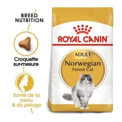 Royal Canin Norwegian Forest Cat Adult Kat 10kg -Dierenparadijspaleis royal canin norvegien adult norvegien 1