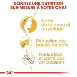 Royal Canin Norwegian Forest Cat Adult Kat 10kg -Dierenparadijspaleis royal canin norvegien adult norvegien 2